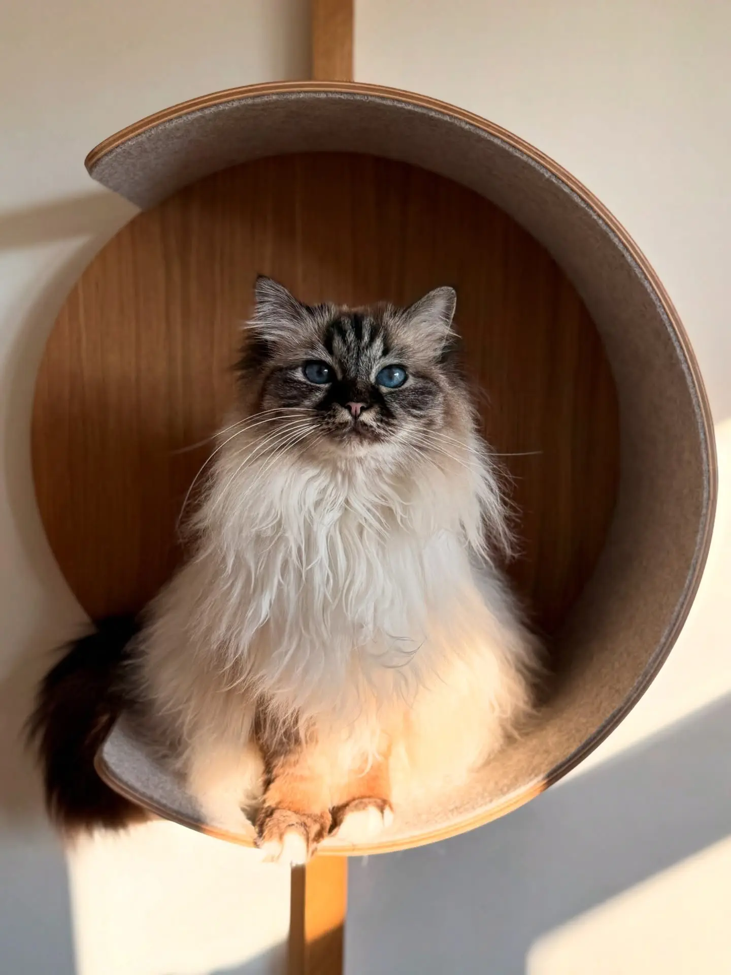 Minimalist Apartment in Tokyo